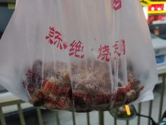 -京东一绝西海子西园烧饼夹肉