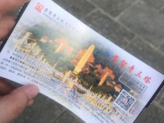 门票-崇圣寺三塔文化旅游区