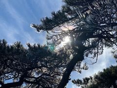 -泰山风景名胜区