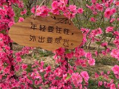 -北京凤凰岭