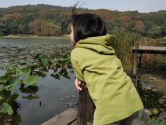 -紫霞湖公园
