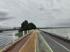 -贡湖湾湿地公园
