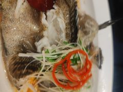 -祥记餐饮•豫粤珍味(金隅大厦店)