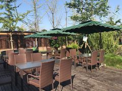 -洪湖家庭农场·团建·露营·会议