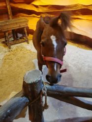 -酷嗒动物文化乐园(cutezoo西溪乐天城店)