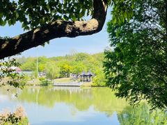 -天生桥景区