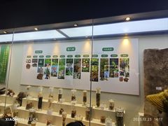 -广东中医药博物馆