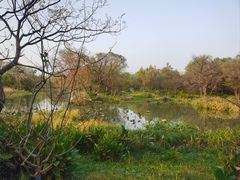 -西溪国家湿地公园