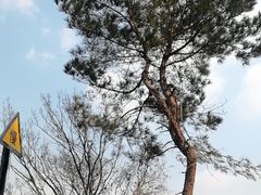 -南北湖风景区