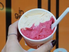 -Dip in Gelato(富民路店)