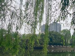 -西南交通大学(九里校区)