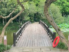 -八卦田遗址公园