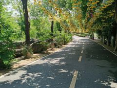 -张公山寨景区