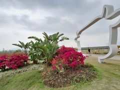 -光明小镇欢乐田园