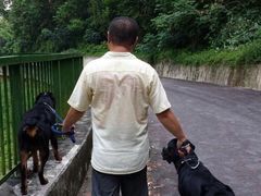 -武吉知马自然保护区