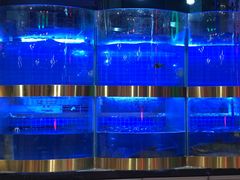 -蛙一刀·麻椒鱼火锅(金仙桥店)