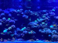 -太平洋海底世界