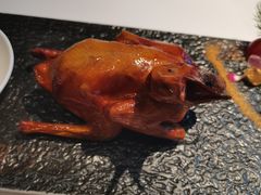 -大鸽饭(岗顶店)