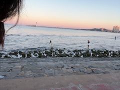 -南戴河旅游度假区