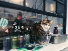 -有肉食·虎九闽菜(798艺术区店)