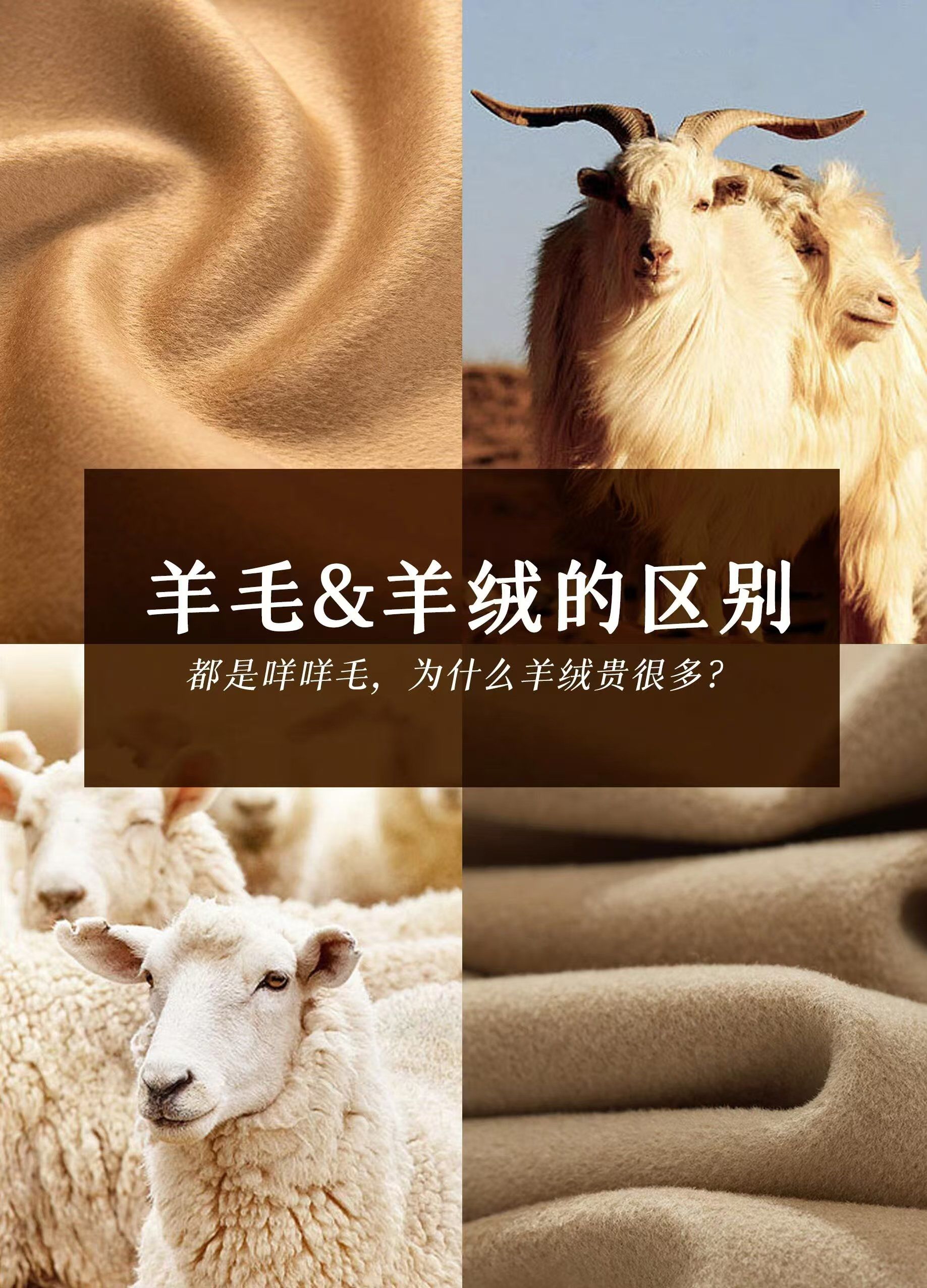 一篇教会你羊绒 🆚羊毛的区别?