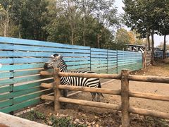 -大连森林动物园