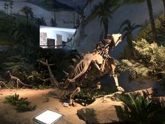 -自贡恐龙博物馆