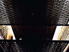 -丽思卡尔顿酒店-天泰轩中餐厅(大沽北路店)