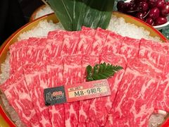 -牛New寿喜烧(金鹰世界店)