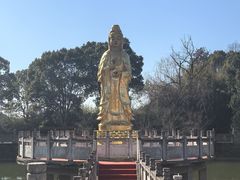 -报恩禅寺