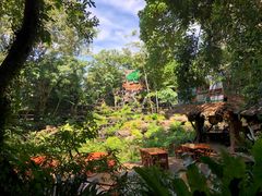-绿光森林餐厅