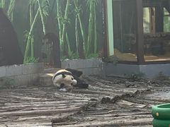 -南昌动物园