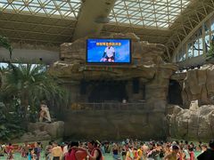 -杭州开元森泊度假乐园