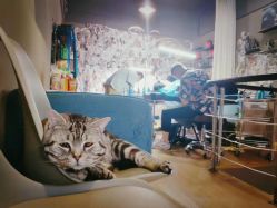 -幸运7纹身刺青Lucky7tattoo