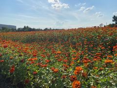 -长春世界雕塑园冰雪艺术天地