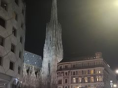 -斯蒂芬主教座堂(Stephansdom)