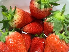 -尚田草莓姑娘白草莓采摘基地