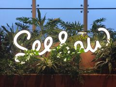 -Seesaw Coffee(朝阳大悦城店)