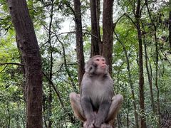 -御轩足道·SPA·养生·保健(瑞金北路店)