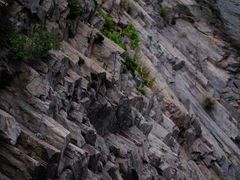 -花岙岛