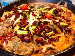 -老板恋上鱼(恒隆广场店)