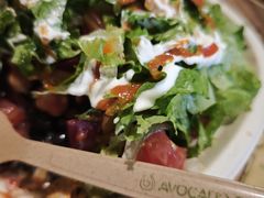 -油梨树AVOCADO TREE(望京店)