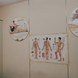 -金美秀瘦身养生