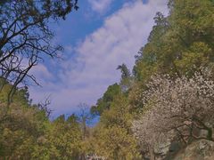 -泰山风景名胜区