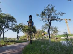 -映月湖公园
