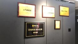 -藤野造型