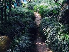 -竹吟山房
