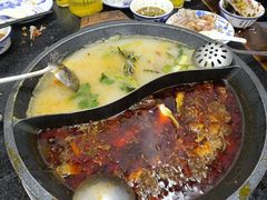 -秦巴石锅鱼(文化南路店)