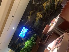 -徐记海鲜(阿波罗店)