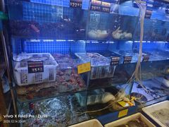 -温岭人家(红花北路店)